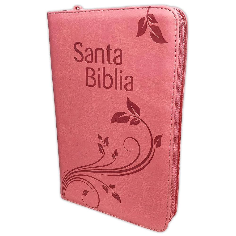 洋書 Biblia interpretada versiculo por Amazon.com: La clave de la Biblia: Encuentre a Jesús en cada